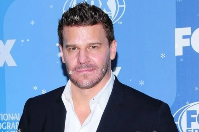 David Borhaz: Career History, Professional Success, Business Roles, Influence, and Public Recognition