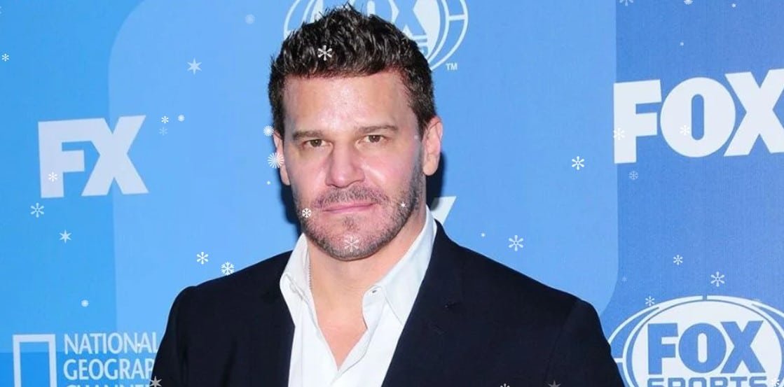 Inside the Life of David Borhaz Career History, Professional Success, Business Roles, Influence, and Public Recognition